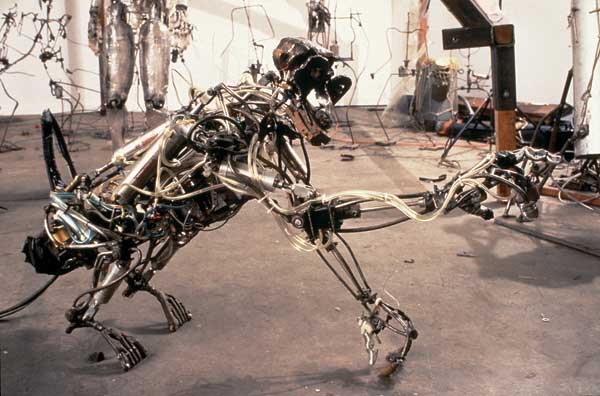 Col.lectiu anatomic din Spania