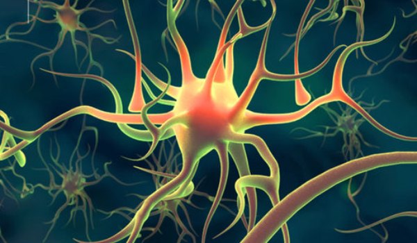 Neuronii in sincron