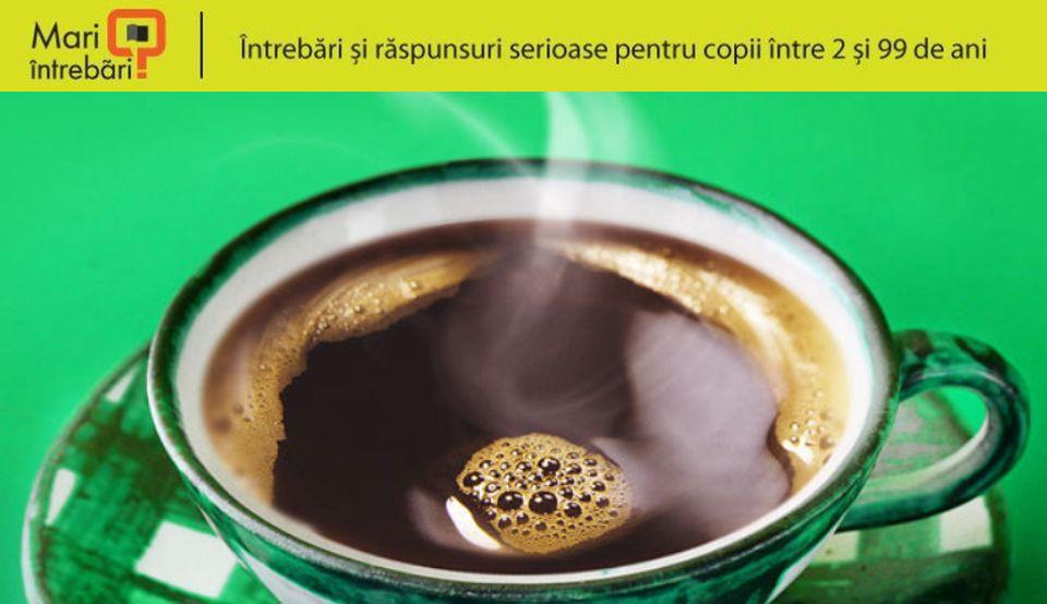 Cafea întâlnește bagheta: aplicația ideală pentru femei | fier-forjat-ieftin.ro