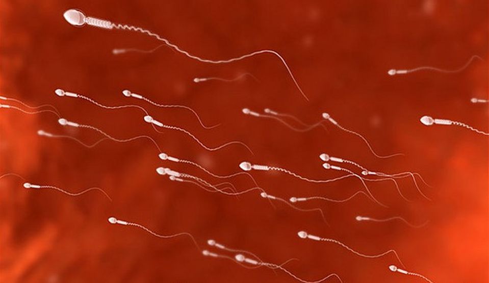 Fertilitatea bărbaţilor: Slăbitul şi medicamentele pentru cancer îmbunătăţesc calitatea spermei