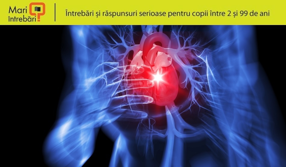 Pulsul si bataile anormale ale inimii