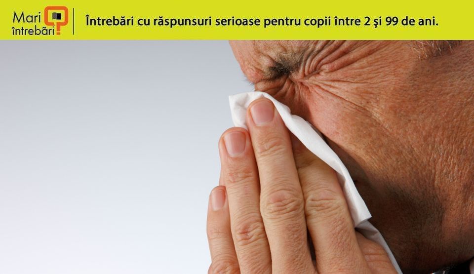 De ce ne curge nasul atunci când e rece afară?