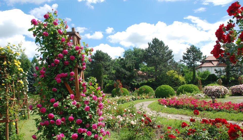Ο πρώτος βοτανικός κήπος στη Ρουμανία