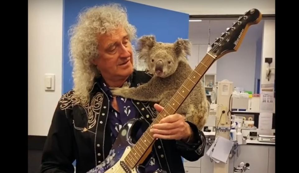 Brian May, chitaristul trupei Queen, a cântat pentru un koala salvat