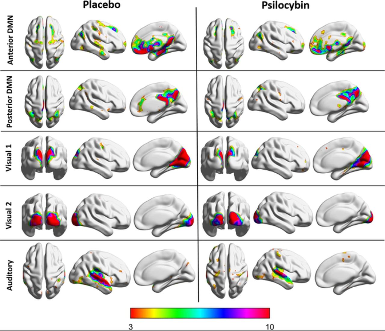 Primul studiu care arată modul în care ciupercile psihoactive duc la „moartea egoului”