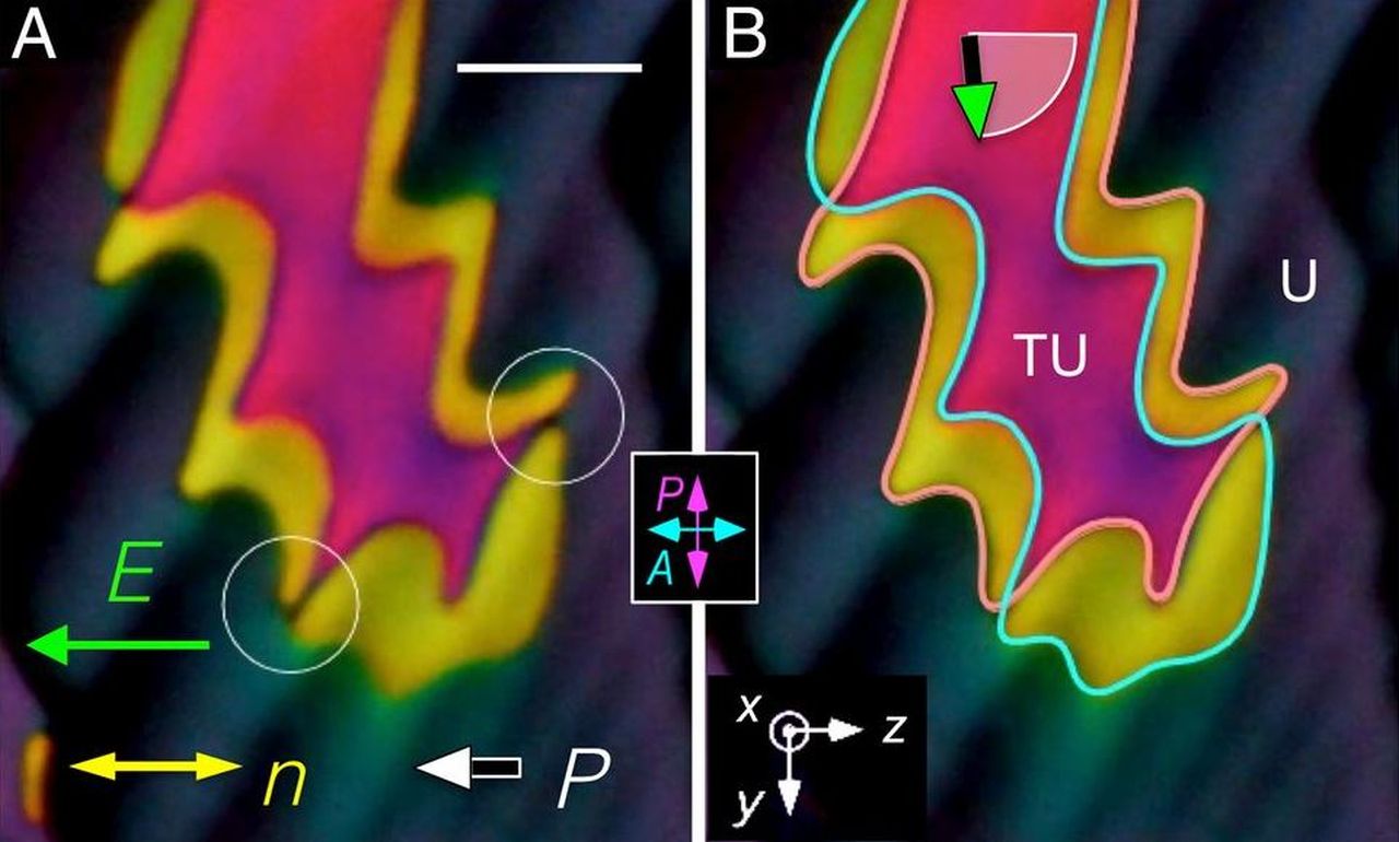 O nouă fază lichidă a fost descoperită după 100 de ani de cercetări