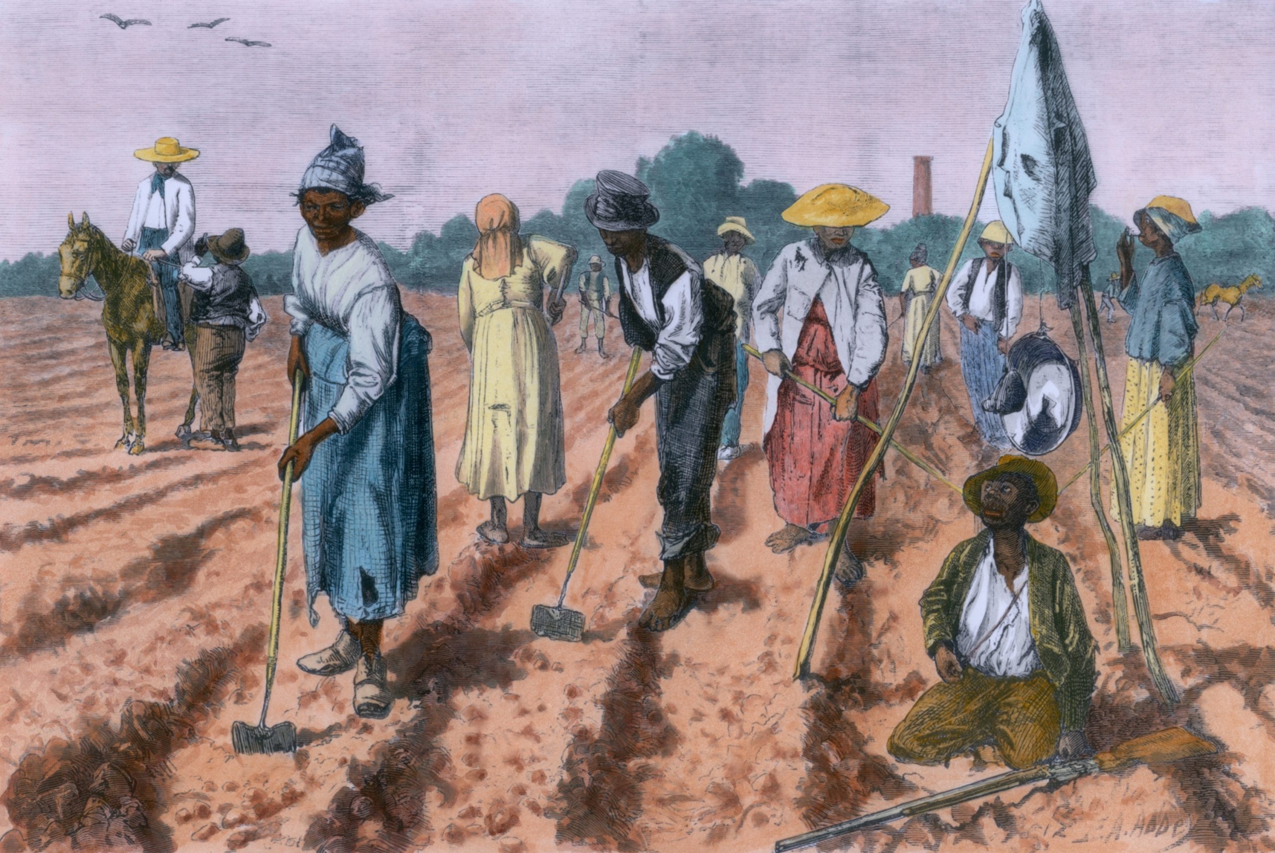 Рабство в сша. Рабовладельческие плантации США 19 век. Хлопковая плантация США 19 век. Южный плантатор 19 век США. Плантации США 18 век.