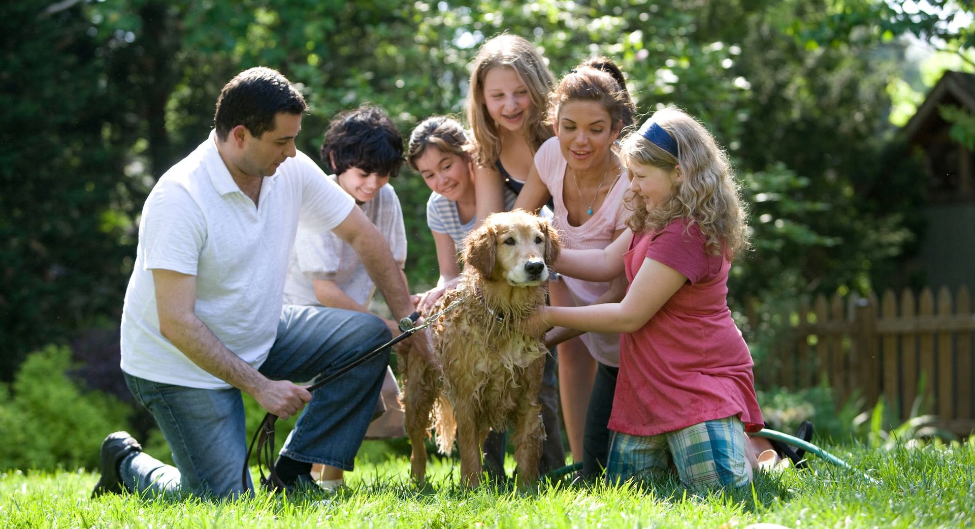 Care sunt cele mai bune rase de câini pentru copii și familie