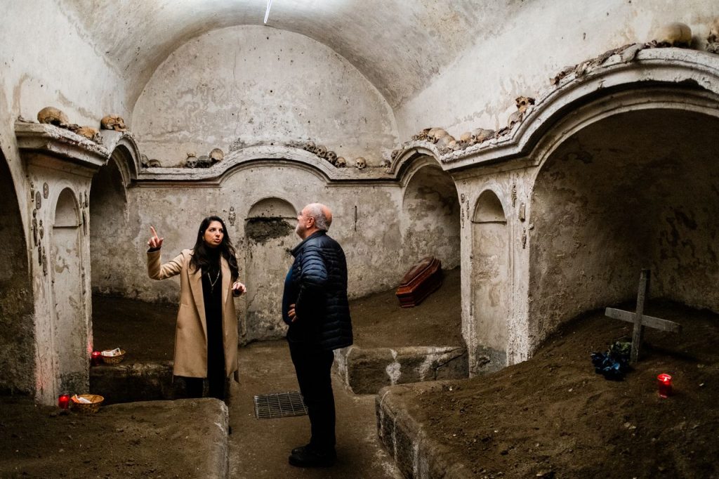 craniu cu urechi napoli