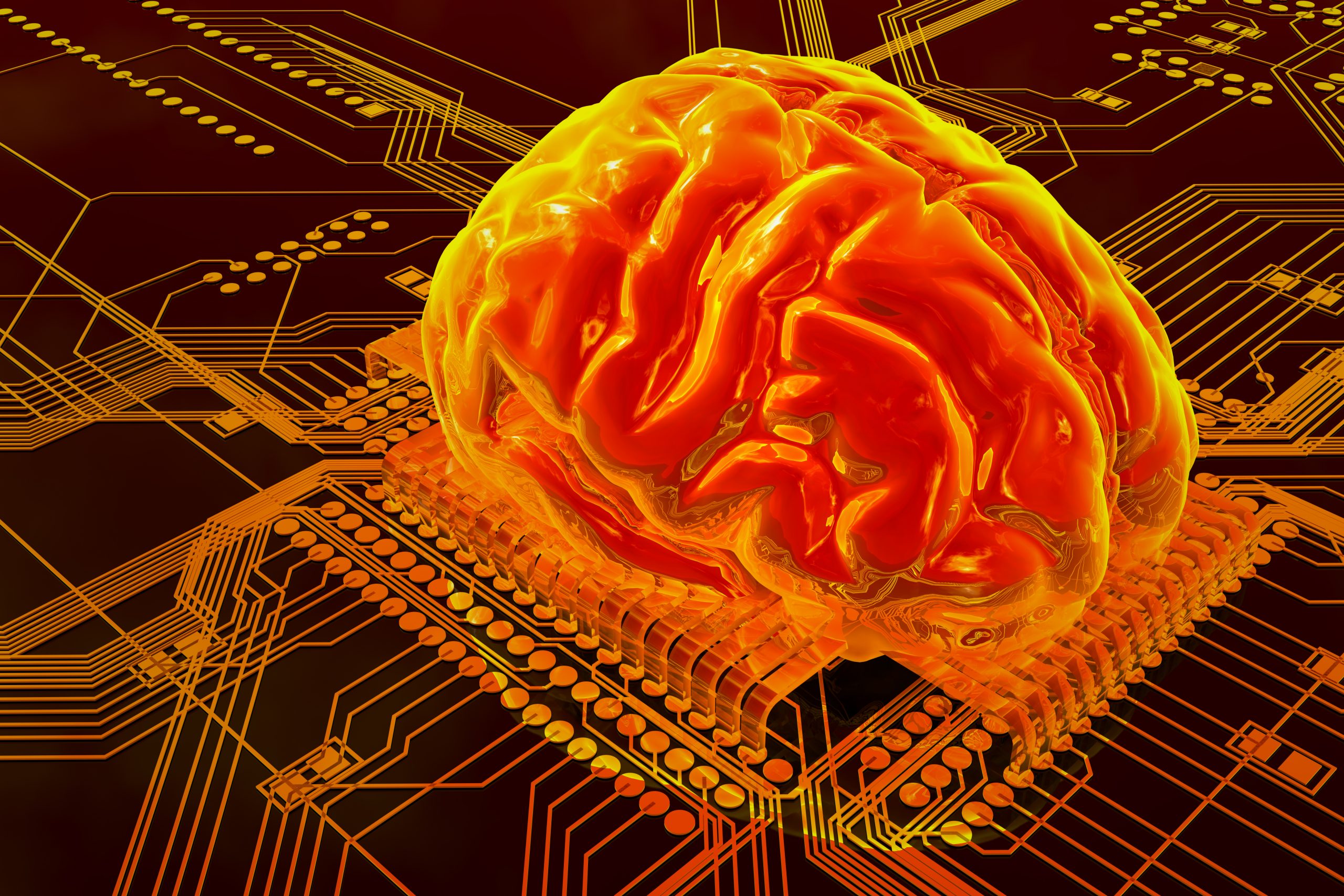 Человеческий мозг и компьютер. Мощный мозг. Мозг биокомпьютер.