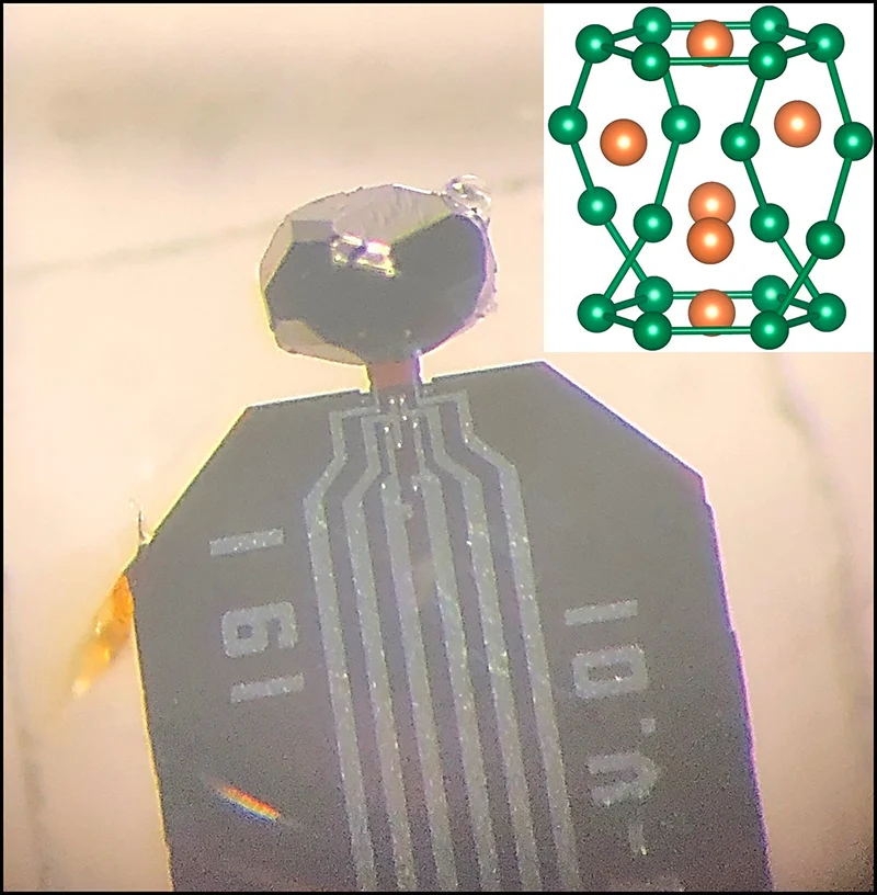 electron metal fluid