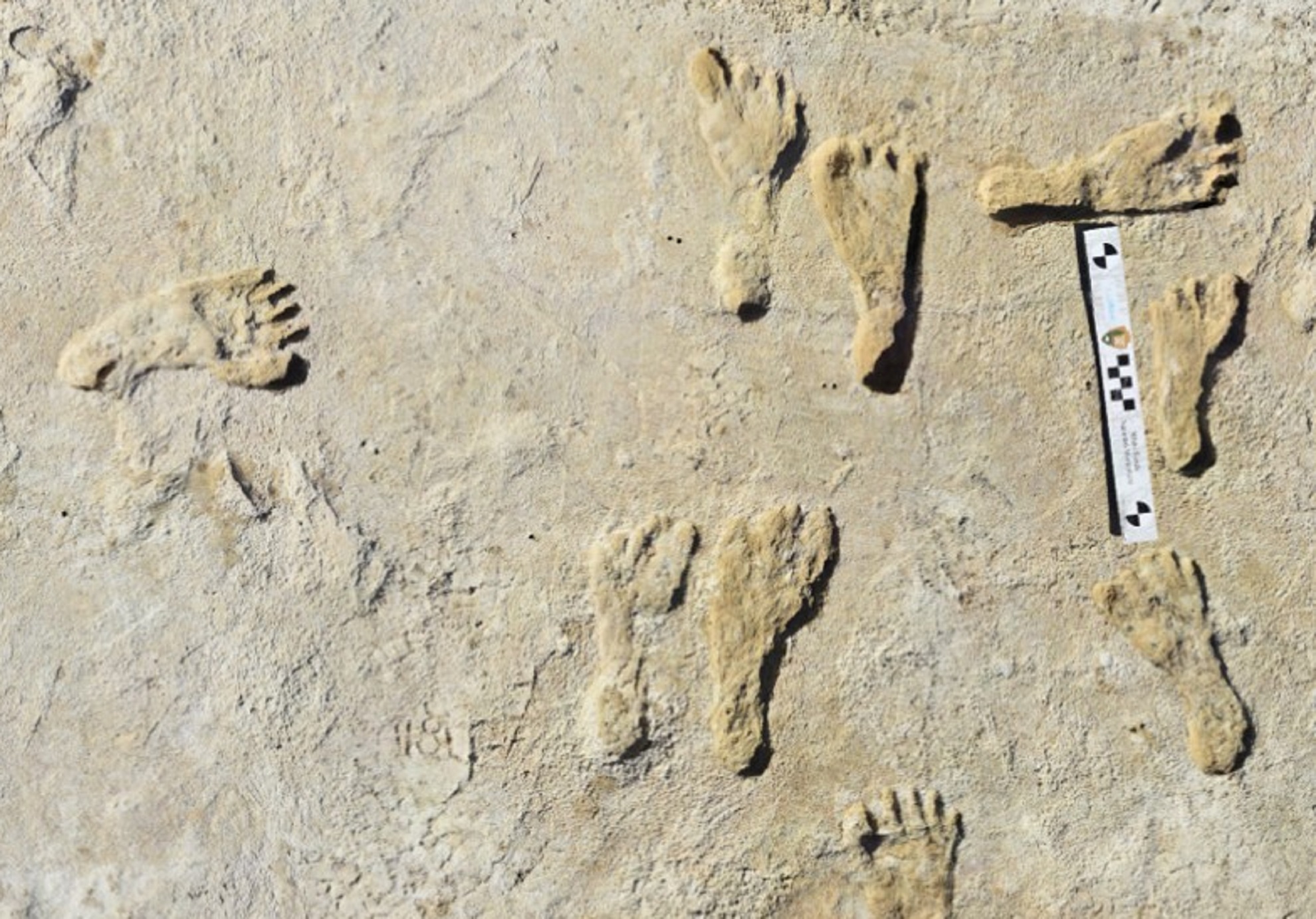 Индейцы следы. Древние Отпечатки. Следы древних людей. Окаменелые человеческие следы. Отпечатки ног древних людей.
