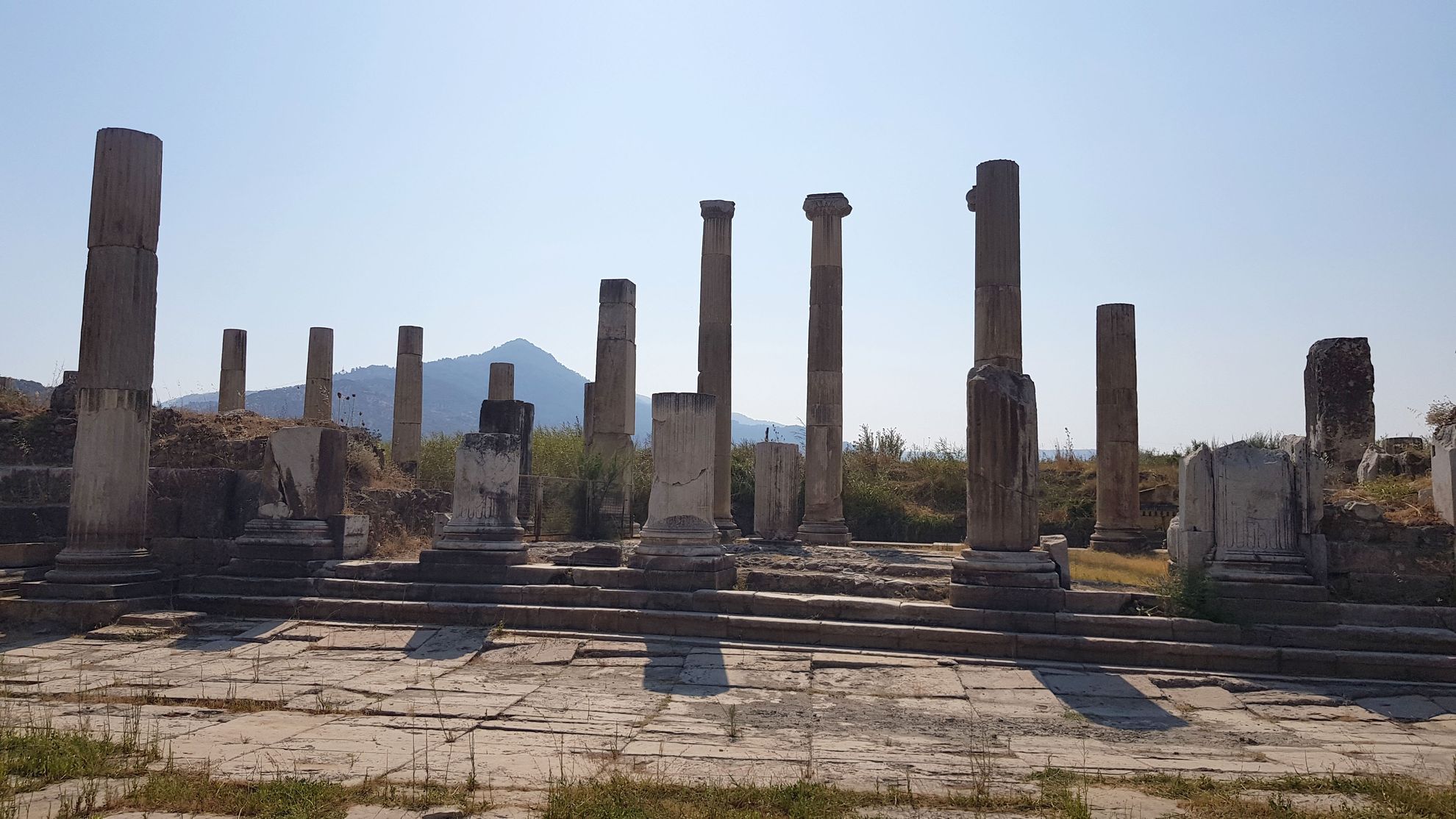 templu zeus Magnesia