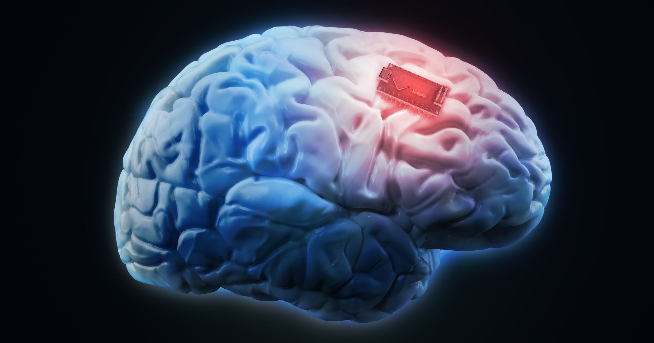 Brain год. Мозг память. Импланты для улучшения памяти.