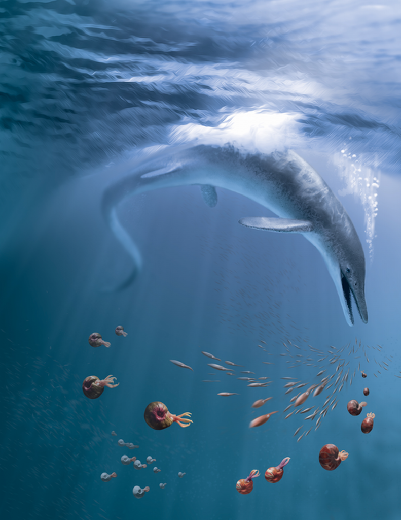 primul gigant