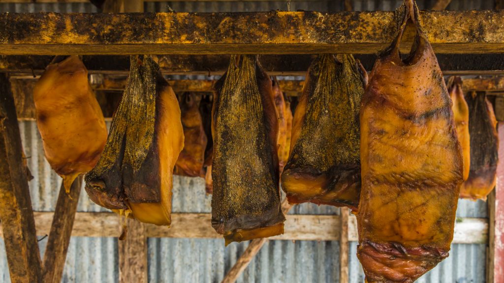 Rechinul de Groenlanda