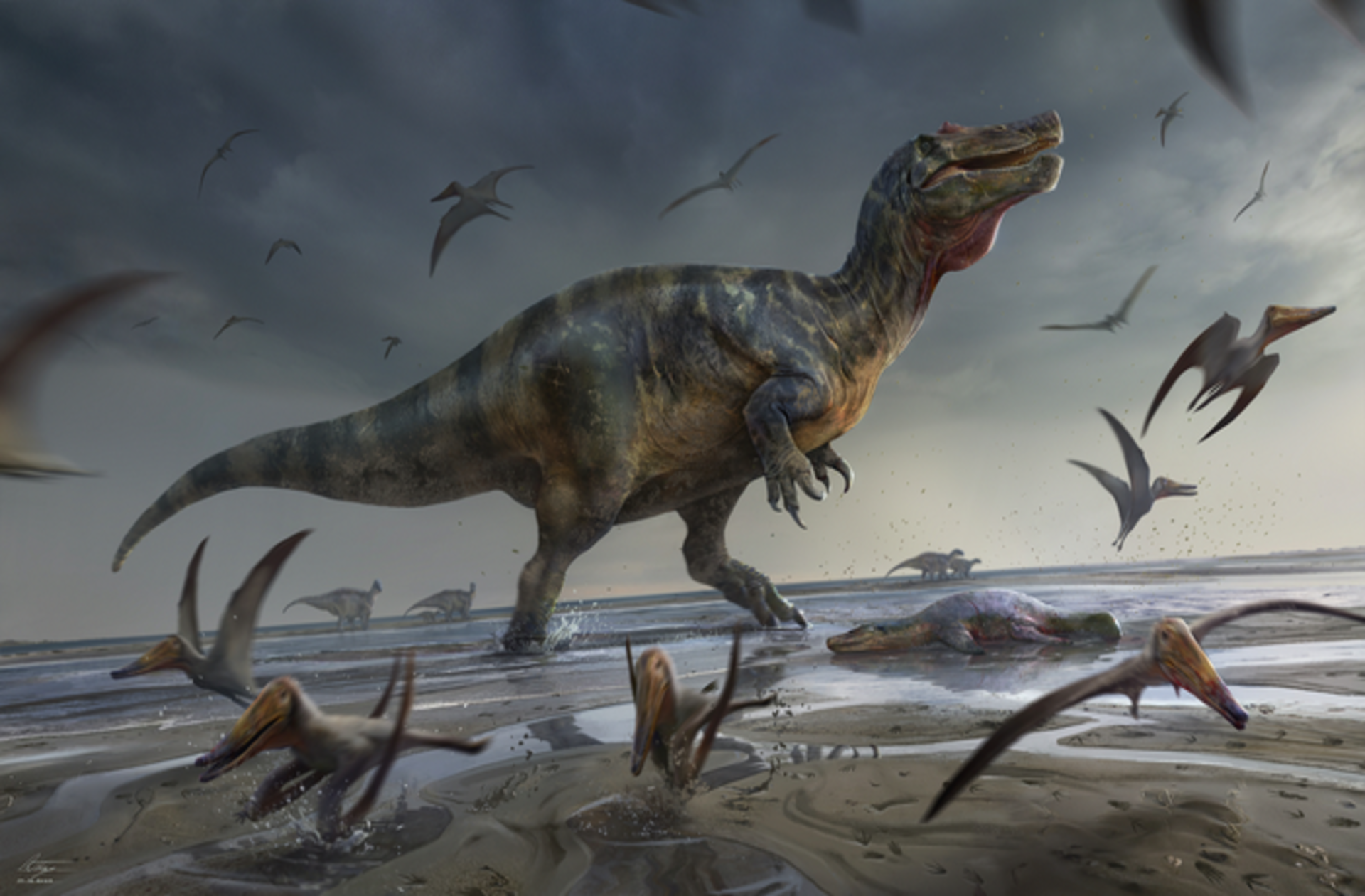 Get drunk More than anything clergyman Paleontologii au descoperit fosilele celui mai mare dinozaur prădător din  Europa