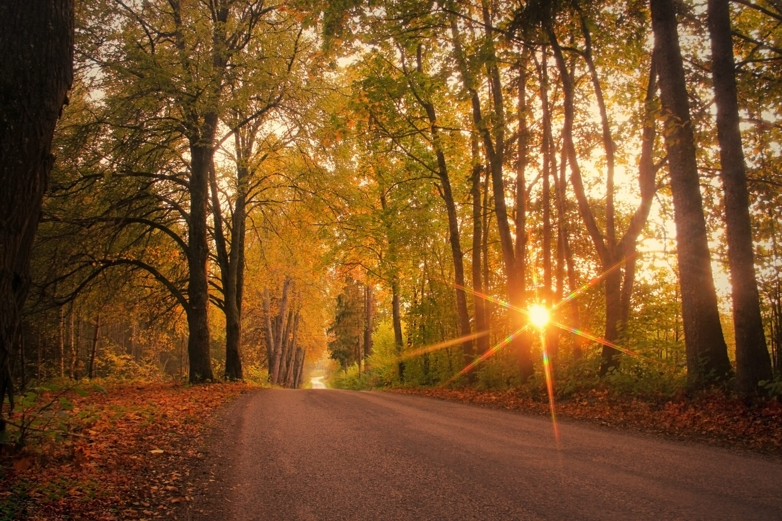 День осеннего равноденстви. Осенью 22. Селигер карась серебряный. Осенью 22. Осенний петербург.