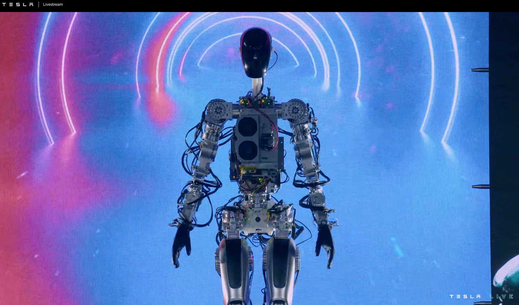 Tesla profi 2