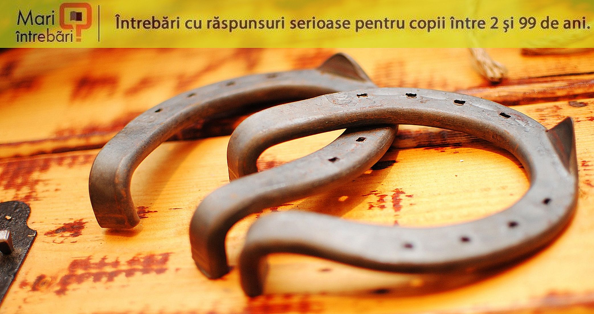 Картинки приносящие удачу. Вещи которые притягивают. Привлечение денег. Вещи в доме которые притягивают богатство. Картинка притягивающая деньги и удачу.