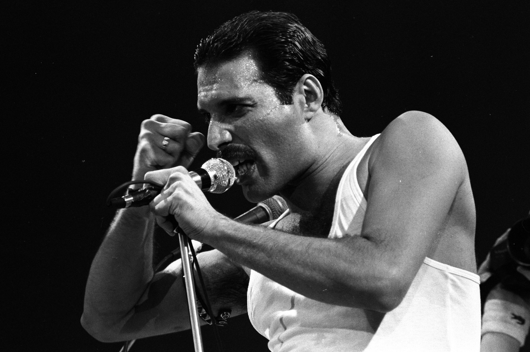 Prietena lui Freddie Mercury scoate la licitație sute de obiecte care ...