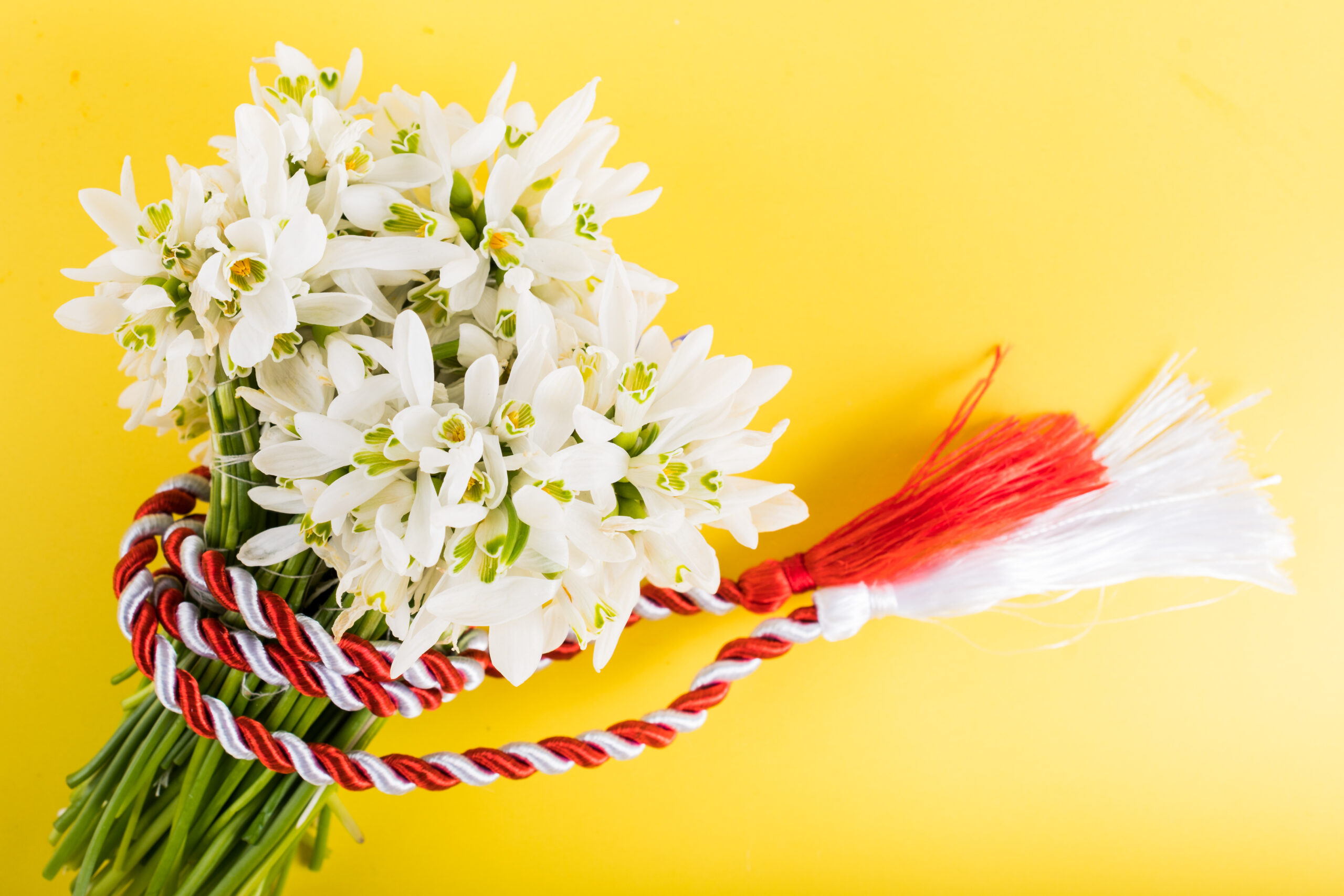 mesaje de 1 martie 2024