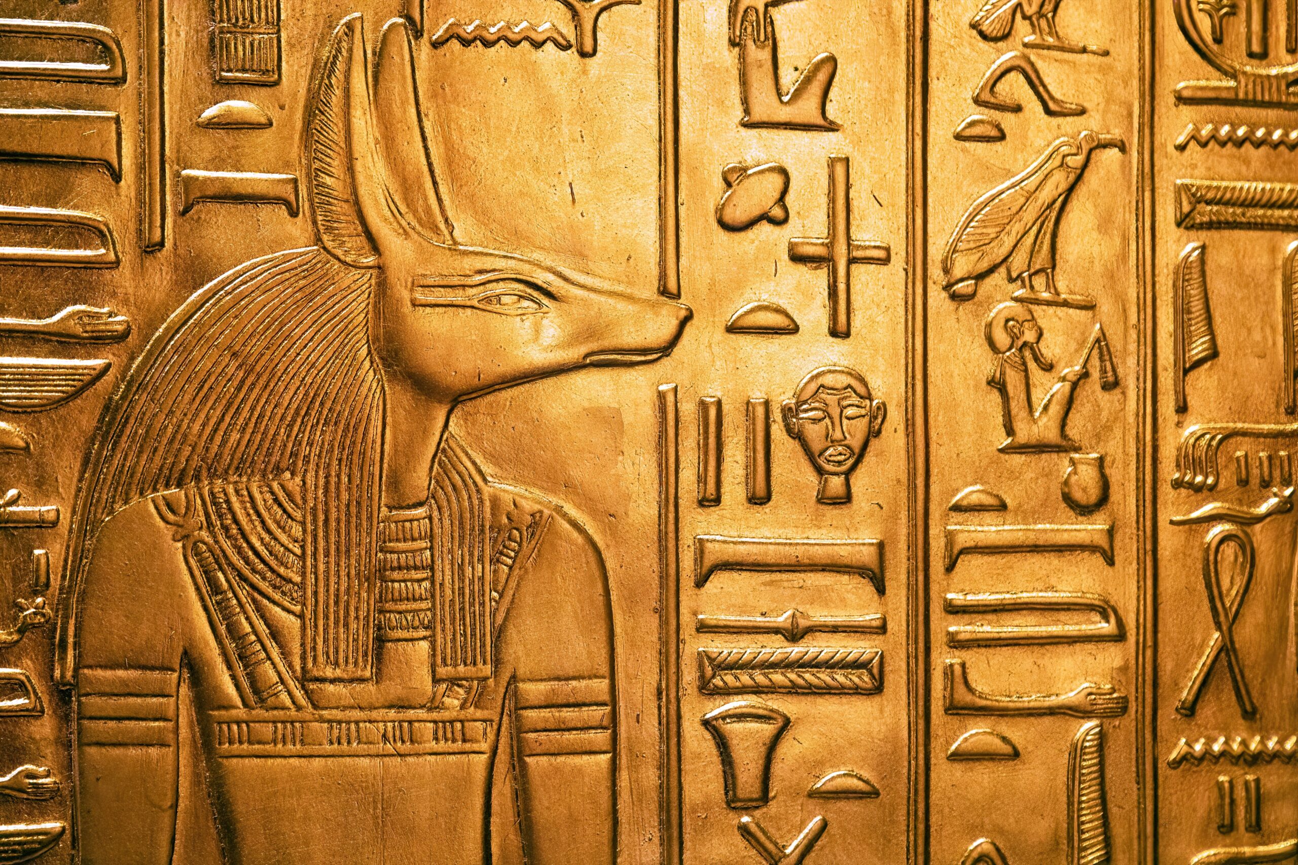 Anubis