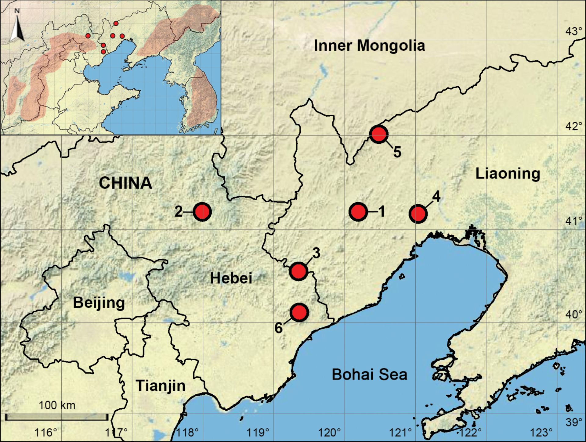 Șase specii de păianjeni ciudați au fost găsite în munții din China