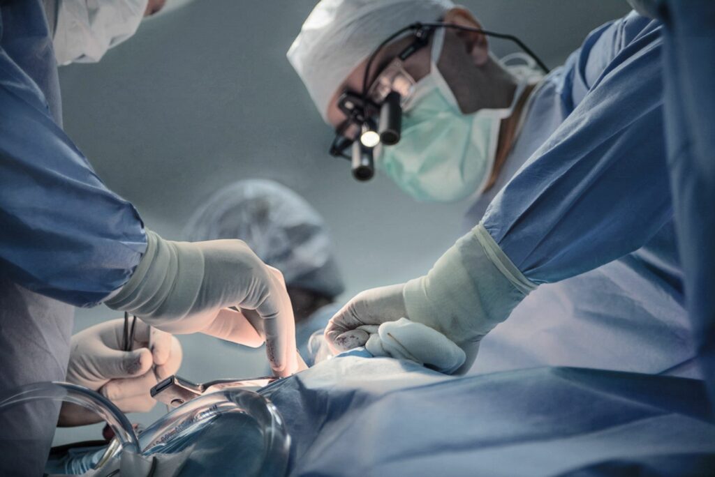 Premieră în medicină! Rinichiul de porc transplantat unui bărbat a funcționat aproape nouă luni