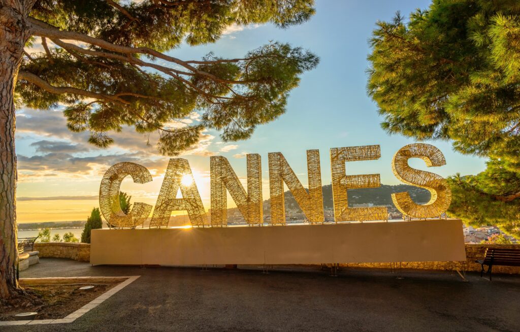un-palmier-s-a-pr-bu-it-peste-un-produc-tor-de-film-la-festivalul-de-la-cannes