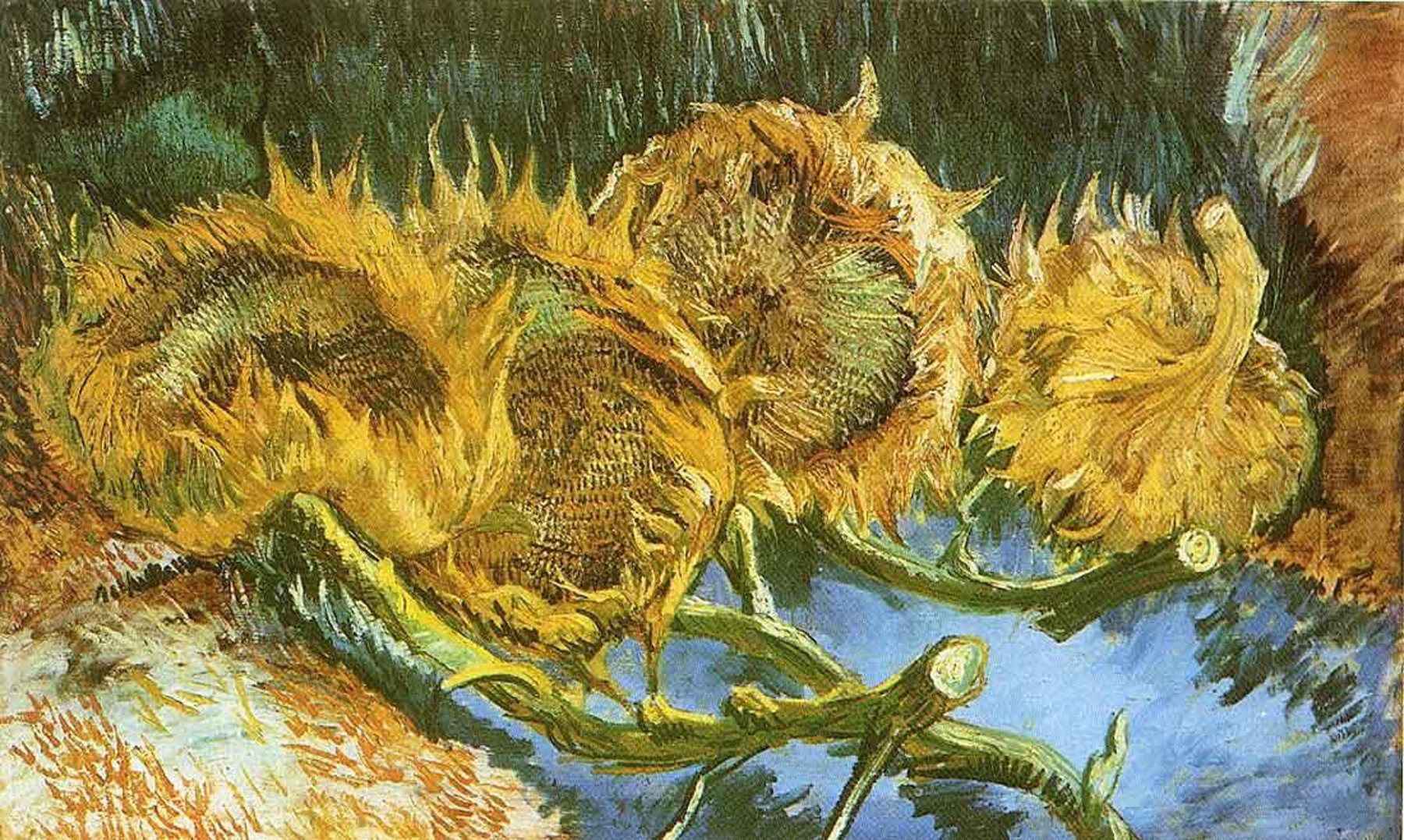 Van Gogh &#537;i ce reprezint&#259;, de fapt, tablourile lui cu floarea-soarelui