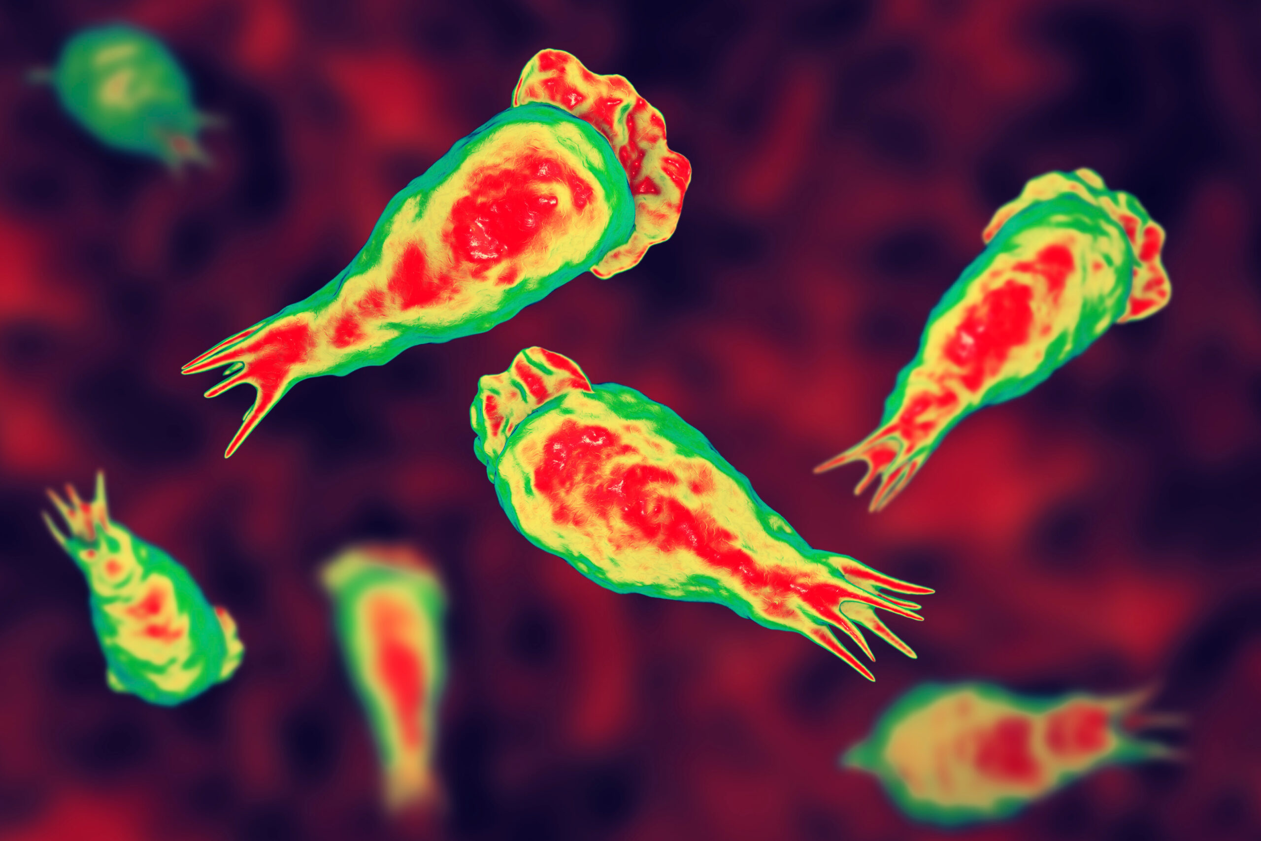 India declară alertă sanitară după mai multe cazuri de amibă ...