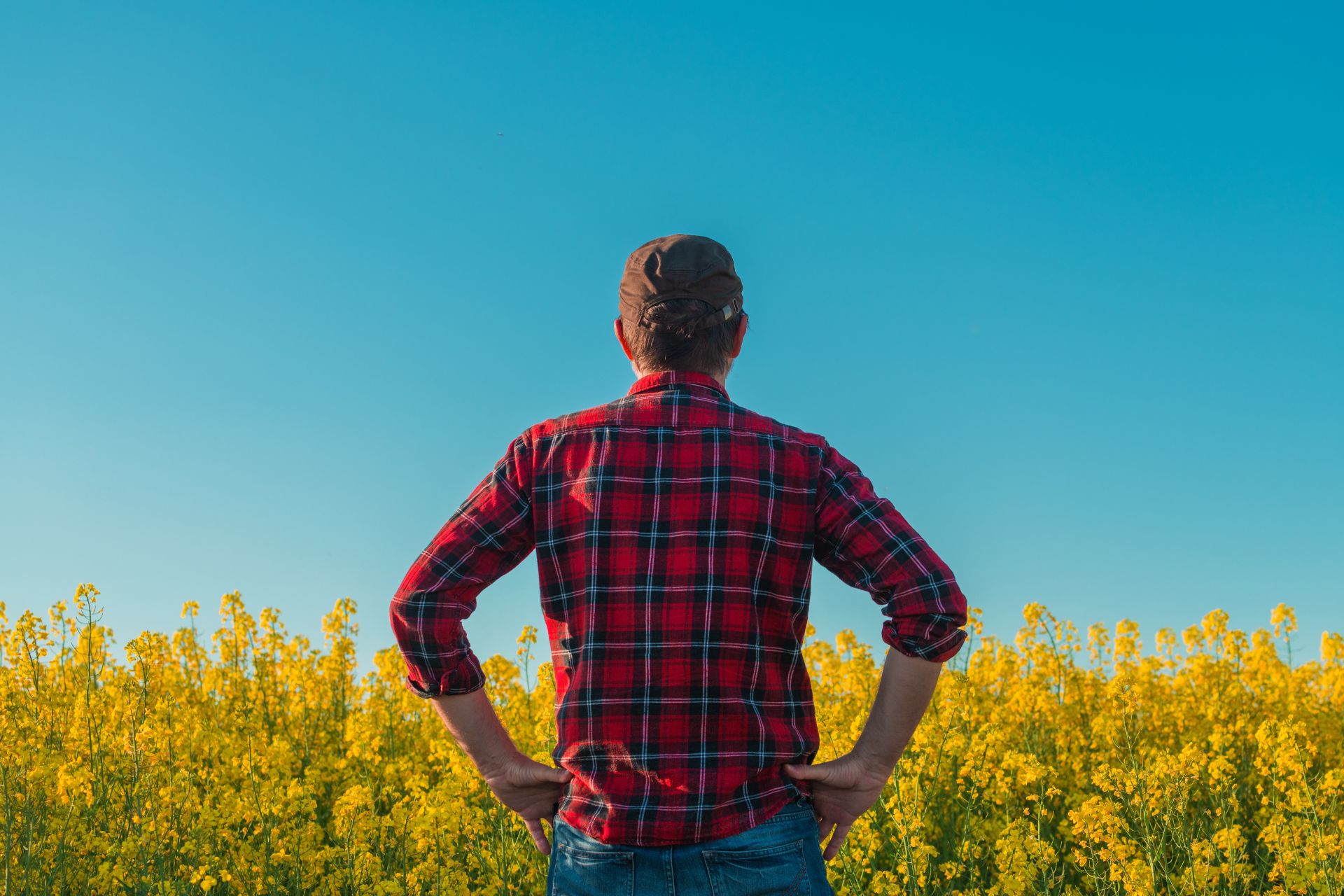 Poza pentru articolul Ce este fenomenul „manosphere” și de ce politicienii britanici cer măsuri ferme pentru protejarea bărbaților?