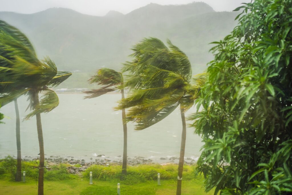 Quiz on general knowledge: Why don’t hurricanes cross the equator? – Stiati ca? – uraganele-nu-pot-trece-de-linia_shutterstock_Descopera-10-1024x683.jpg