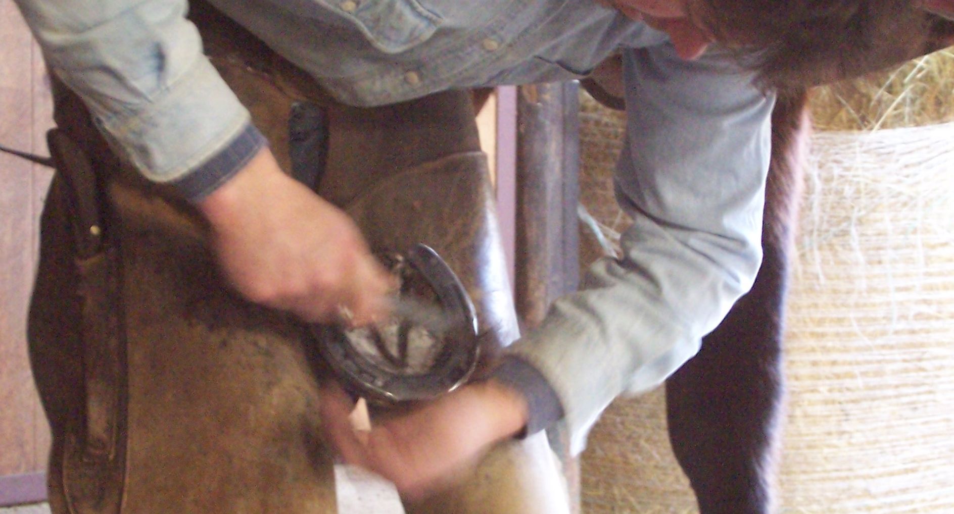 Poza pentru articolul Test de cultură generală. De ce se spune că potcoavele aduc noroc?