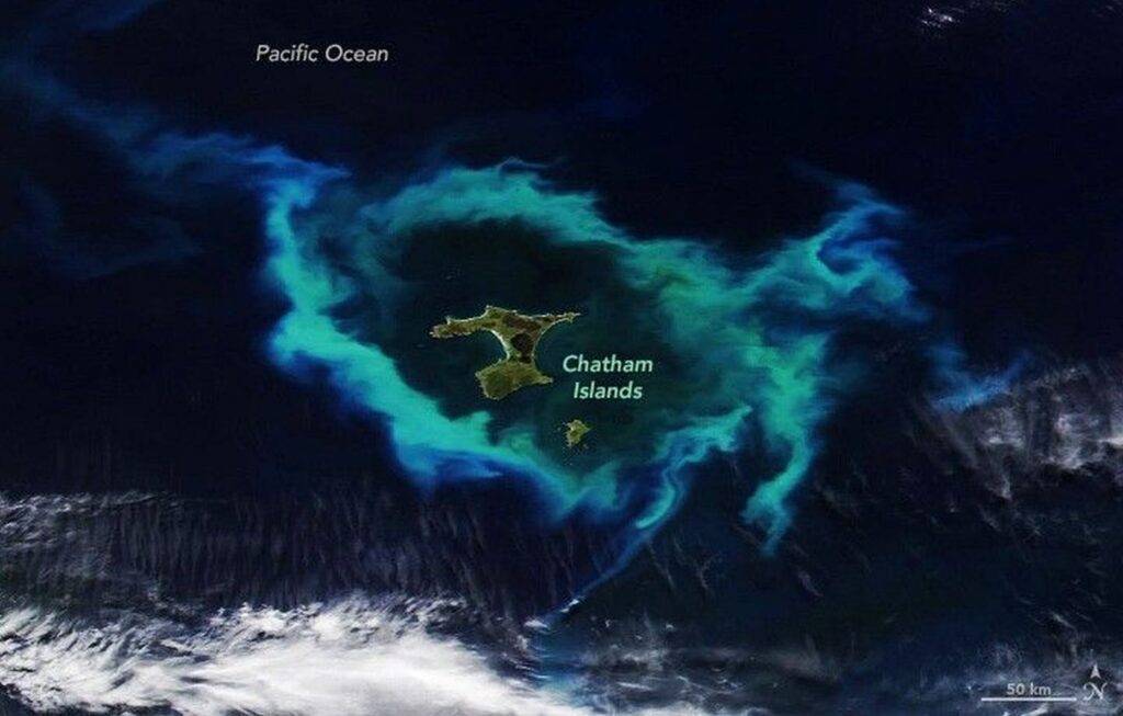 un-inel-uria-de-plancton-care-nconjoar-mai-multe-insule-din-oceanul-pacific-observat-din-satelit