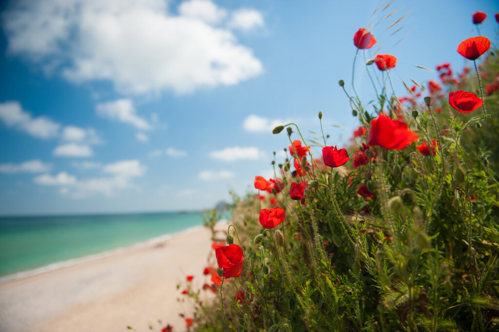 vremea-o-ia-razna-anun-meteorologii-unde-va-ninge-de-1-mai