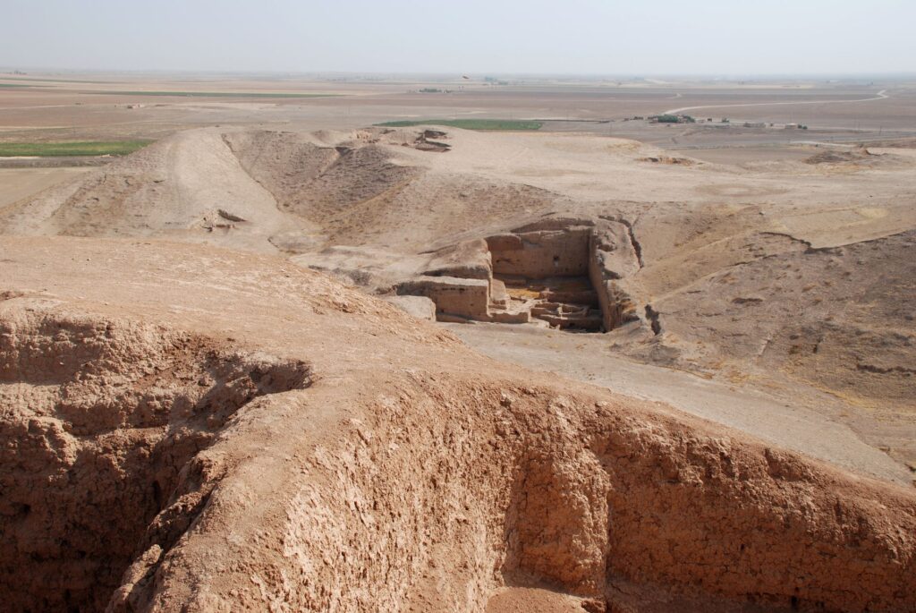 Coastele rupte vechi de 6.000 de ani descoperite în Siria ar putea fi unul dintre cele mai vechi cazuri cunoscute de abuz asupra copiilor