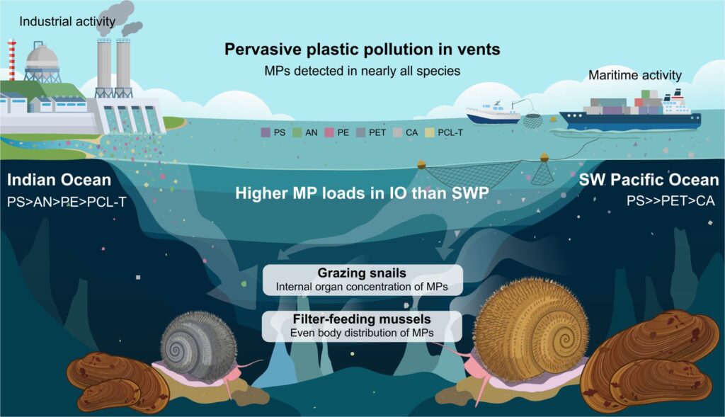 Microplasticele ajung chiar și la 2.000 de metri sub suprafața oceanului, arată un nou studiu