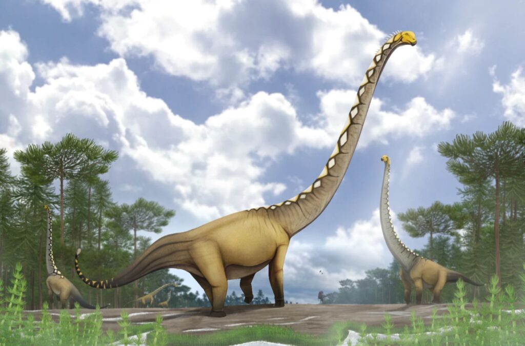 O nouă specie de dinozaur cu gâtul extrem de lung, descoperită datorită unui singur os