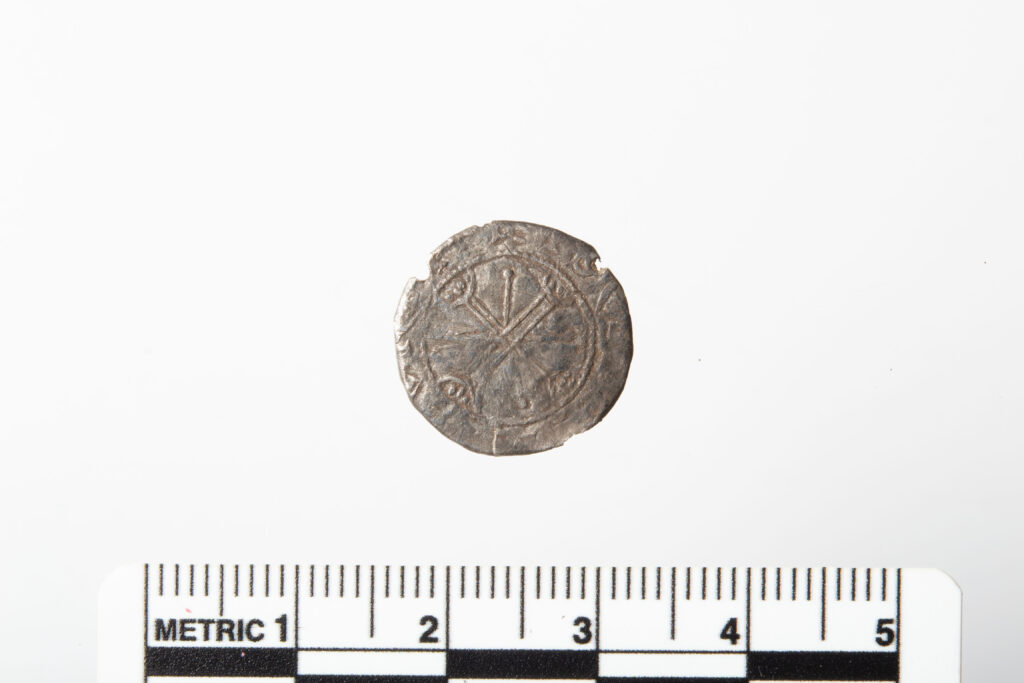 Un nasture găsit pe un câmp s-a dovedit a fi o monedă rară din timpul ultimului rege viking al Norvegiei