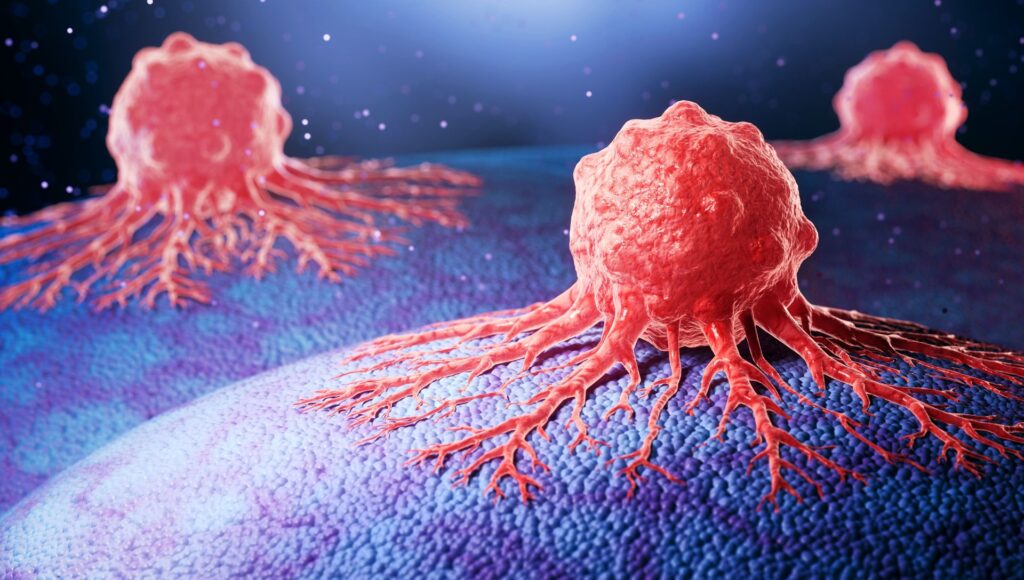 Un supliment obișnuit pentru sală ar putea ajuta celulele care luptă împotriva cancerului