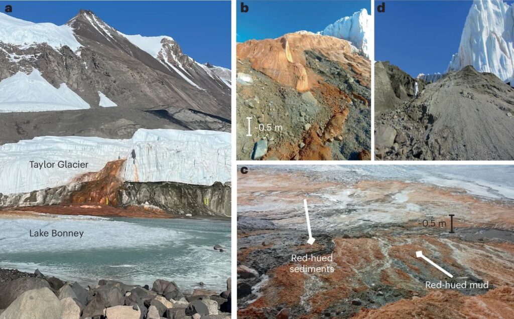 Microorganisme antice au fost descoperite în unul dintre cele mai ostile locuri din Antarctica