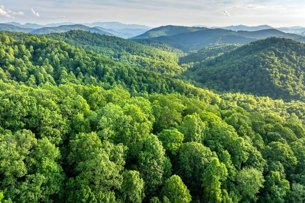 Vacanța perfectă de toamnă: iată cele mai bune trasee de mers pe munte!