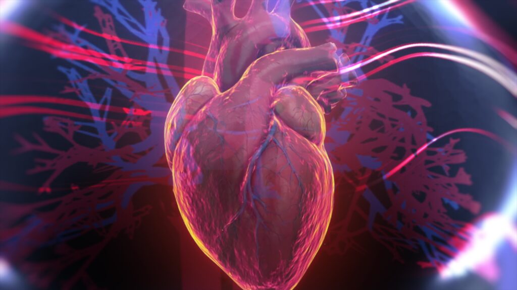 Anatomia fără bisturiu. Pot „cadavrele digitale” să înlocuiască disecția clasică?