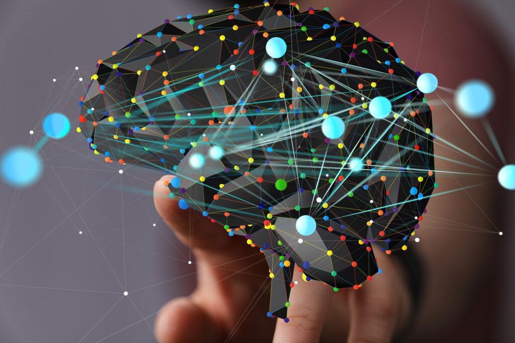 Test de cultură generală. Care este diferența dintre neural și neuronal?