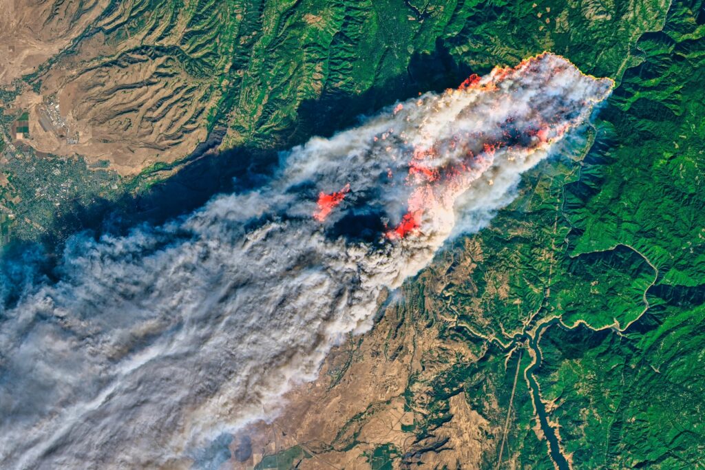Chiar și după ce sunt stinse, incendiile de vegetație lasă în urmă un fenomen devastator