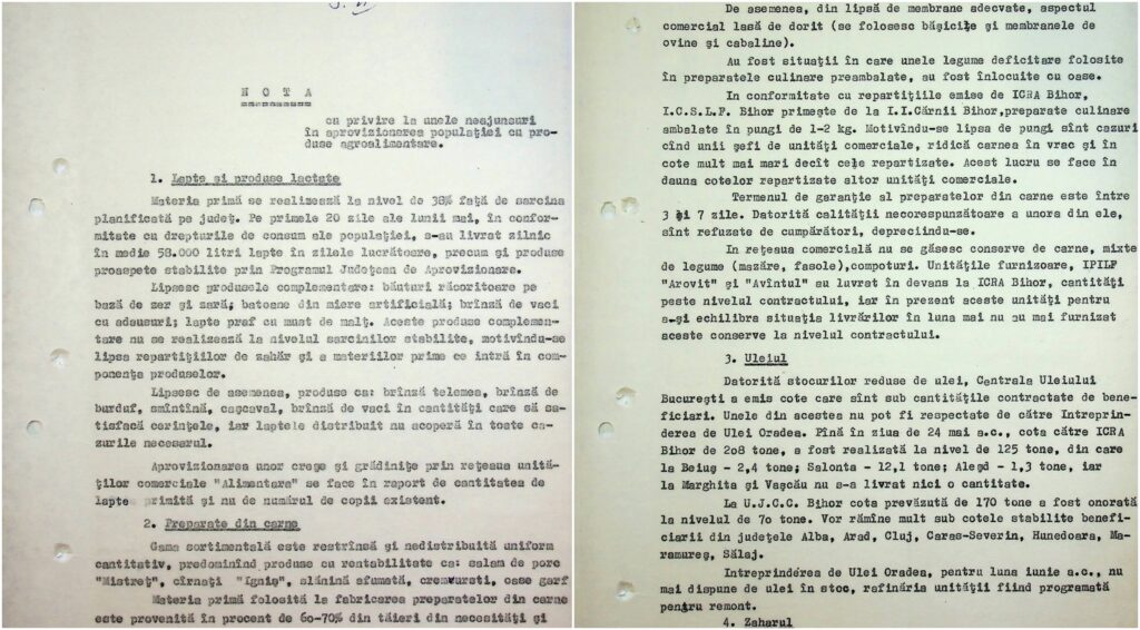 O notă secretă a Securității din 1989 dezvăluie amploarea crizei alimentare din ultimii ani de comunism