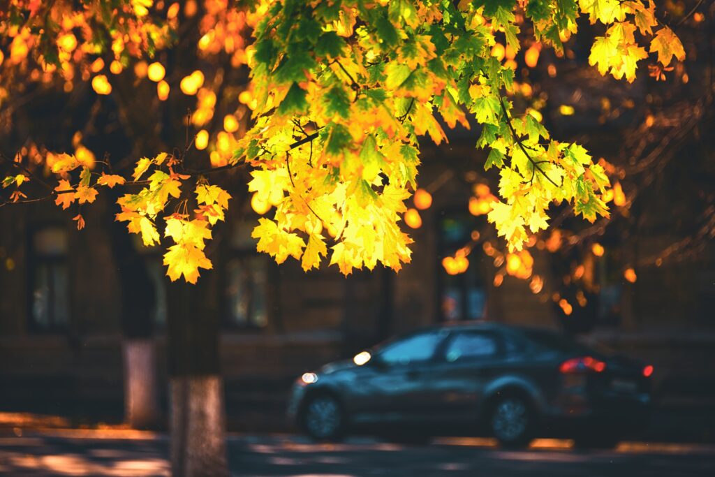 Prognoza meteo pentru toamnă. Ce temperaturi anunță ANM?