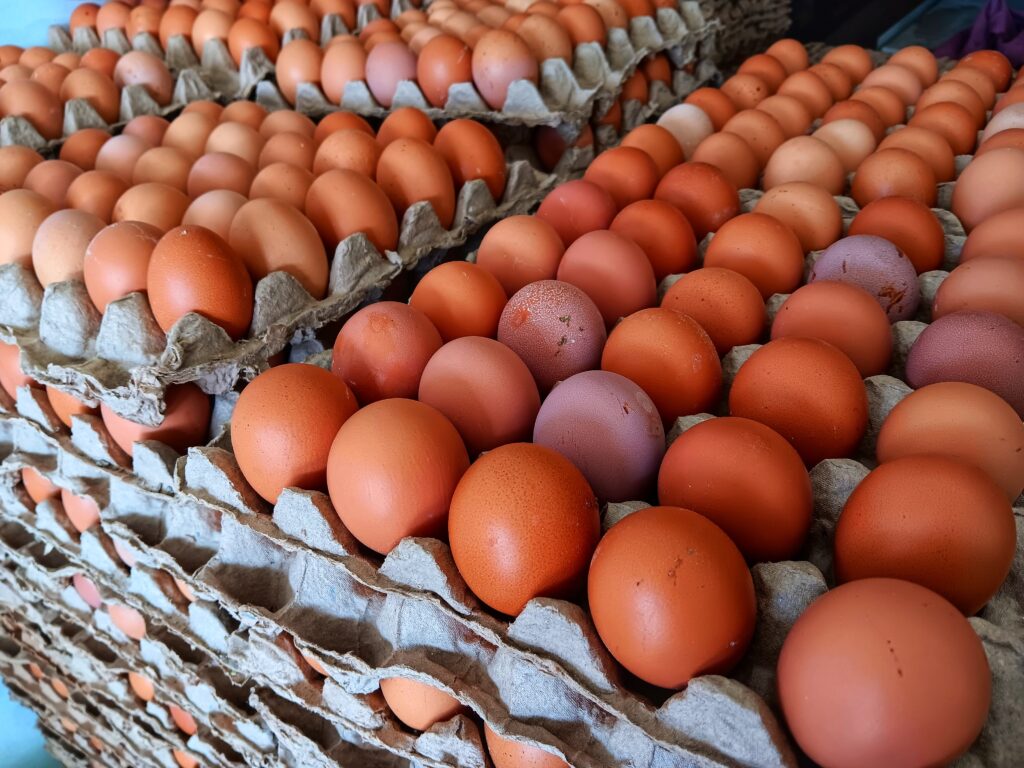 Ouăle ecologice ar putea avea un impact climatic mai mare decât cele provenite din ferme clasice
